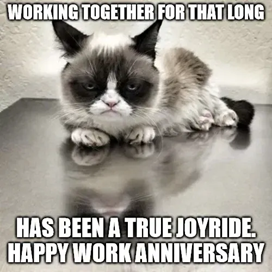 HAS BEEN A TRUE JOYRIDE. HAPPY WORK ANNIVERSARY