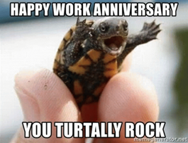 YOU TURTALLY ROCK