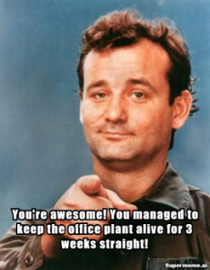 You're awesome! You managed to keep the office plant alive for 3 weeks straight!