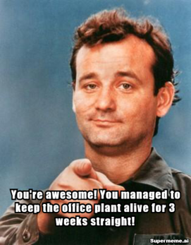 You're awesome! You managed to keep the office plant alive for 3 weeks straight!