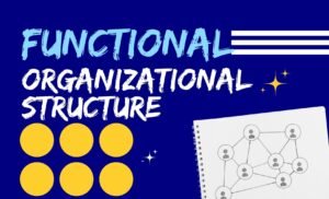 Functional Organizational Structure