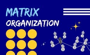 matrix organization
